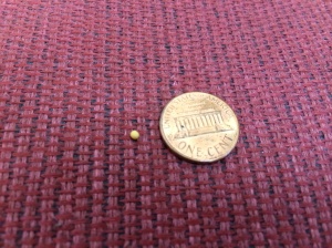 The size of a mustard seed